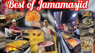 Best Food options at Jamamasjid Old Delhi [upl. by Ariam]