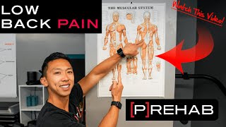 6 of the Best Lower Back Exercises Your New Back Mobility Routine [upl. by Os138]