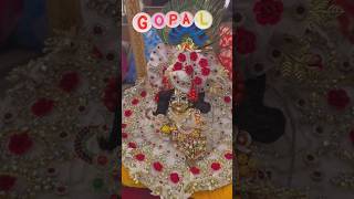 Hari Sundar Nand Mukunda song music trending little blogs bhajan Laddu Gopal popularsong [upl. by Allissa]