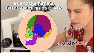 ANATOMIA BÁSICA Ossos e Suturas do Crânio Vídeo 2 [upl. by Mail864]