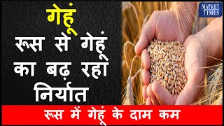 रूस से गेहूं का बढ़ रहा निर्यात Wheat exports from Russia are increasing wheat gehun mandi [upl. by Rodablas834]