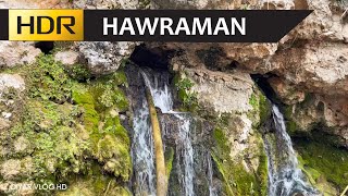 Hawraman Spring 2022  HDR Feat Osman Hawrami amp Sabah Hawrami  هەورامان  سەرگەت و دەرەی مەڕ [upl. by Ivor32]