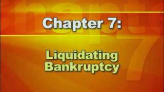 Bankruptcy Basics  Part 2 Types of Bankruptcy [upl. by Maillil792]