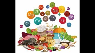 Classification of Dietary Minerals Macro minerals and Trace Minerals and Examples of them [upl. by Alyss417]