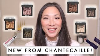 CHANTECAILLE  Fall 2019 Collection [upl. by Laidlaw]