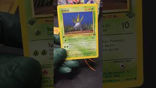 Appraising a Viewer’s VINTAGE Pokémon Collection PT7 pokemoncards [upl. by Llednahc]