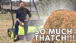 How to DETHATCH A LAWN AND WHEN TO DO it [upl. by Bethany978]