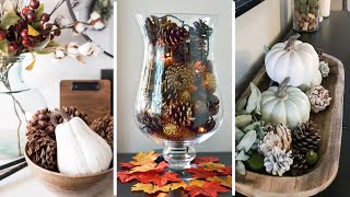 50 Unique Fall Pinecone Decoration Ideas Youll Adore [upl. by Ilzel]