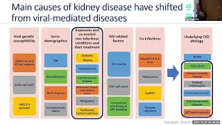 Filtering the Facts Updates in CKD Management for PWH [upl. by Guillaume427]