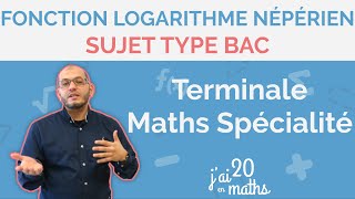 Sujet type bac  Fonction logarithme népérien  Terminale Maths Spécialité [upl. by Ytissahc]