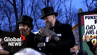 Groundhog Day 2024 Punxsutawney Phil predicts an early spring [upl. by Calli515]