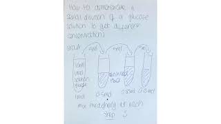 Exam technique serial dilution of glucose solution [upl. by Gere]