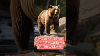 3 Mysterious Facts About Brown Bears You Never Knew shorts animals facts bears animalsworld [upl. by Samohtnhoj]