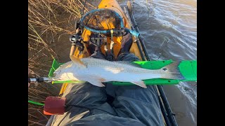 Epic day Non Stop Redfish Action [upl. by Sylvie]