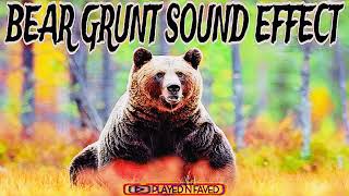 Bear Grunt Sound Effect [upl. by Goodrich]