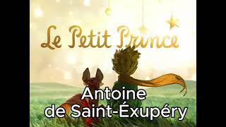 Le petit prince dAntoine de SaintExupéry Chapitre 18  Livre Audio [upl. by Eloccin]