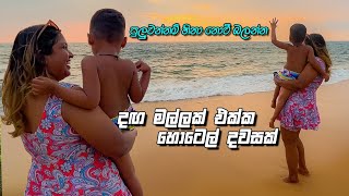 VLOG 248  ළමයෙක් අරන් හදාගත්තා [upl. by Harlie167]