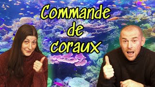 On a COMMANDE DES CORAUXils sont MAGNIFIQUES [upl. by Donatelli]