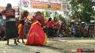 SAMBOYO PUTRO  FULL Tari KLONO SEWANDONO amp PATIH SINGO KUMBANG Live DUKUH NGADILUWIH [upl. by Siramed]