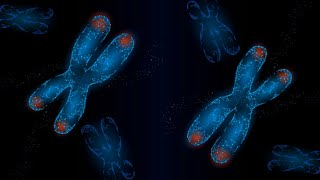 Telomere Rejuvenation  Regenerate your Telomeres  Cellular level healing  DNA repair [upl. by Dorothi723]