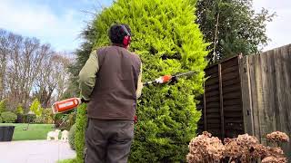 Conifer Tidying amp Sorting out a Phormium in a Border [upl. by Reseda496]