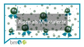 Algen als wahre Multitalente [upl. by Goldshell]