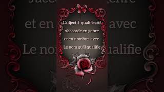 Ladjectif qualificatif [upl. by Zipporah703]