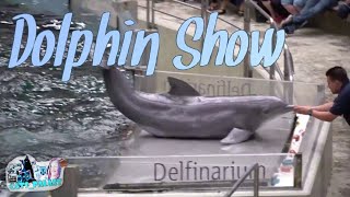 Delfin Show  Dolphin Show  Delfinarium Zoo Duisburg 2018 [upl. by Kathe]