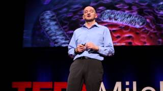 Winning the battle against metabolic disorders  Iñigo San Millán  TEDxMileHigh [upl. by Eiznikcm]