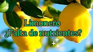 Cómo Identificar y Quitar Chupones del Limonero  Beneficios y Cicatrizante Casero Fácil [upl. by Lladnor]