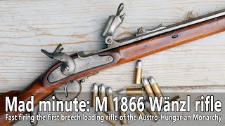 Mad minute The M 1866 Wänzl rifle [upl. by Sabec]