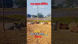 Gau Mata Per Musibat ia Usko Aaj Bdachana Hai🐄 Jay Gau Mata cow video my jay [upl. by Nide]