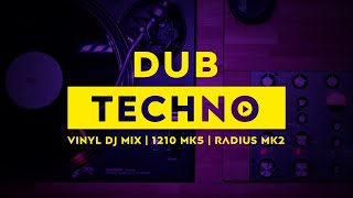 Dub Techno DJ Set  100 Vinyl [upl. by Lienaj803]