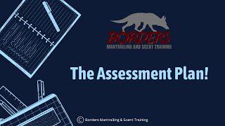 The Assessment Plan [upl. by Ahsaya]