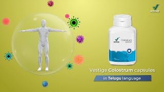 Vestige Colostrum Capsules Product AV Telugu [upl. by Reyaht]