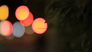 Canon 600D  85mm F12 lens  Low Light Test [upl. by Blaseio157]