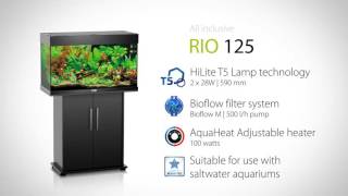 Juwel Aquarium Rio 125 [upl. by Michigan]