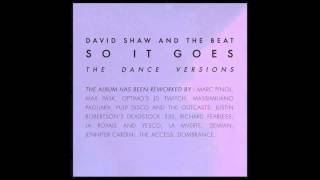 David Shaw and The Beat  No More White Horses Dombrance Remix [upl. by Alliuqa703]