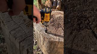 DeWalt DCF845 XR impact driver driving a 9 inch log screw dewalttough [upl. by Bradley]