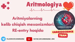 Aritmologiya 3qism Aritmiya mexanizmlari Reentry haqida [upl. by Gaby]