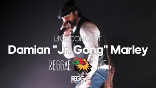 Damian Jr Gong Marley Live at Reggae Lake Festival Amsterdam 2024 [upl. by Cullie]