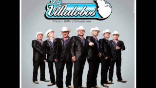 Los Villalobos  Mix de Cumbias Juventud y Experiencia Para Ti CD 2013 [upl. by Hsitirb719]