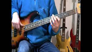 Brian Poole And The Tremeloes  Do You Love Me  Bass Cover [upl. by Eicats]