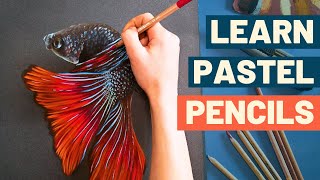 How to use Pastel Pencils  Complete Beginners Guide [upl. by Halette492]