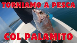 TORNIAMO a PESCA col PALAMITO [upl. by Marji]