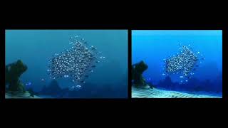 Finding Nemo WideScreen vs FullScreen [upl. by Ayek]