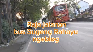 Sugeng Rahayu ngeblong di ruas jalan Pantura kendal Jawa Tengah bus automobile sugengrahayu [upl. by Ylrbmik]