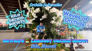 Hawaii’s 🏝️ Largest Orchid Show [upl. by Selestina]