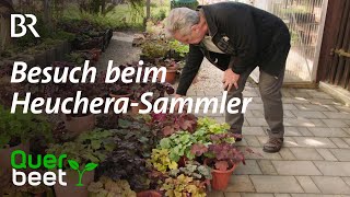 Besuch beim Heuchera Sammler [upl. by Enilrahc]