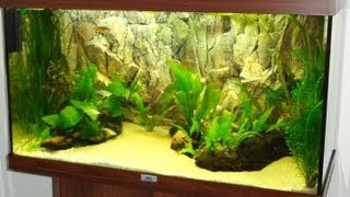 My Juwel Rio 125 Aquarium 1080p [upl. by Adnylg]